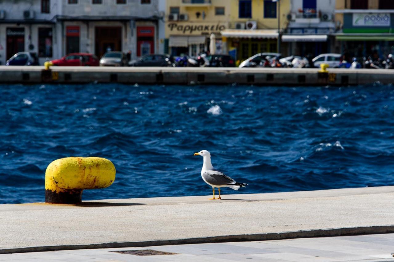 Mother'S House In Syros Aegean Sea 波西多尼亚 外观 照片